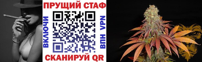 Где продают наркотики Мглин Alpha-PVP ГАШ