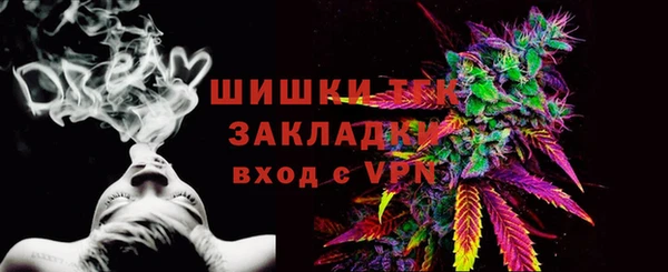 прущие грибы Арсеньев