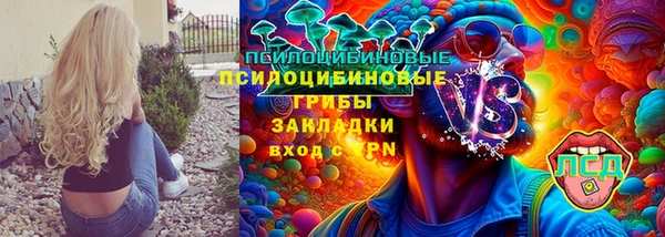 прущие грибы Арсеньев