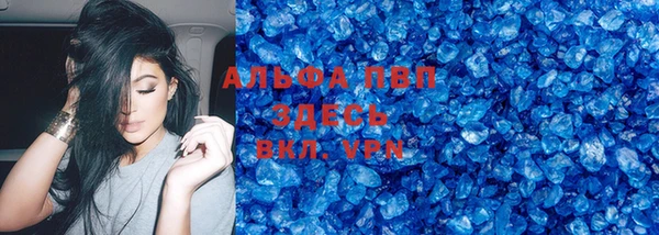 прущие грибы Арсеньев
